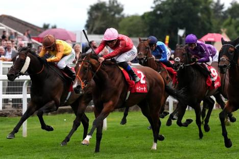 Tote Scoop6 rollover to reach a whopping £800,000 – biggest in six years