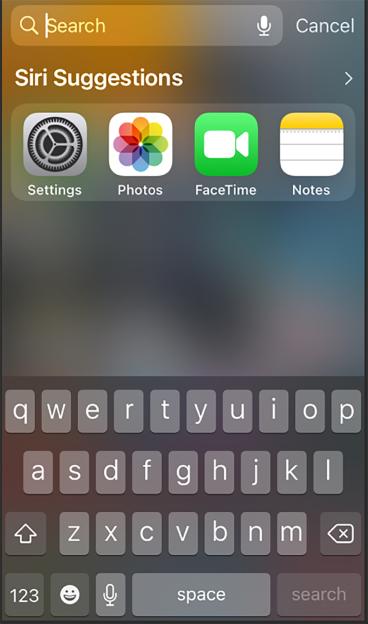 Siri suggestions for Settings, Photos, FaceTime, and Notes.