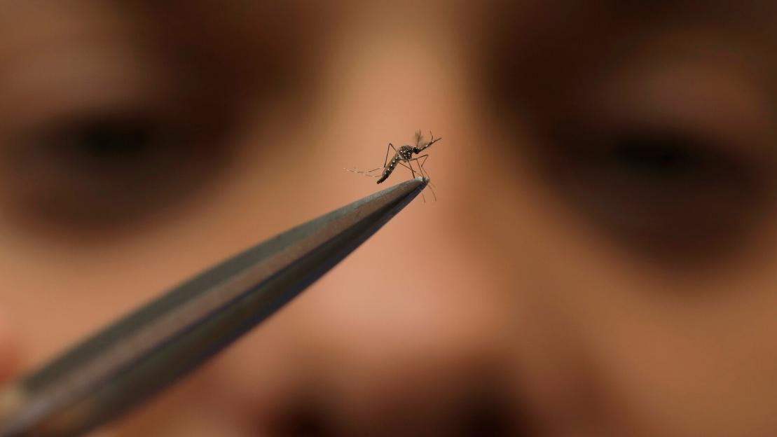 UK residents warned over killer ‘bone-breaker’ virus