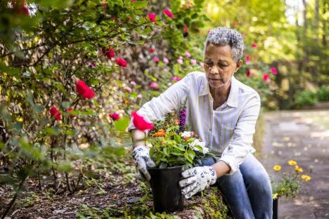 Gardeners share why you should put coffee grounds in plant pots & around flower beds – it’s ‘fantastic’ for lawns too
