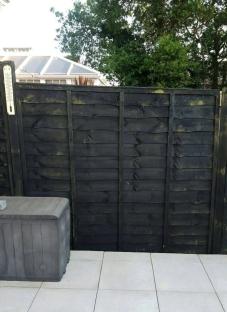 Dark-stained wooden fence with green algae.