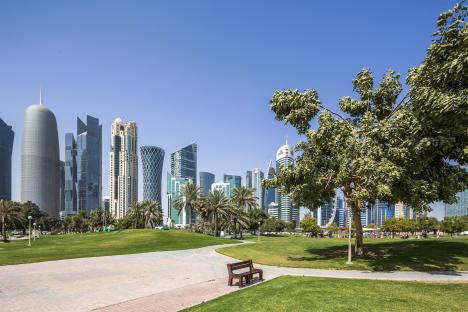 Park bench in a grassy park with skyscrapers in the background.
