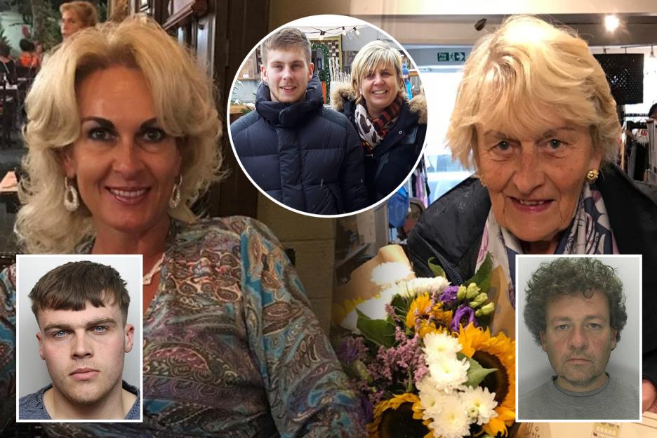 The ‘invisible’ UK crisis of sons killing their own MUMS as loving parents are stabbed 100 times, set ablaze & beheaded