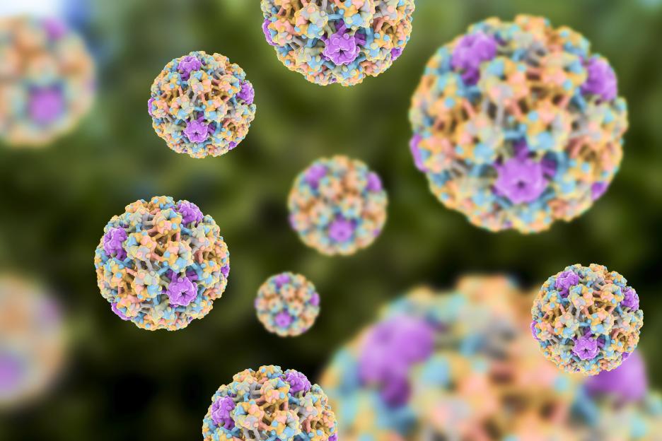 Computer illustration of human papillomavirus (HPV).