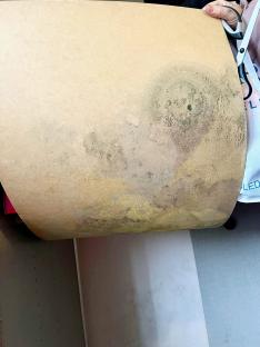 Mold growth on a piece of cardboard.