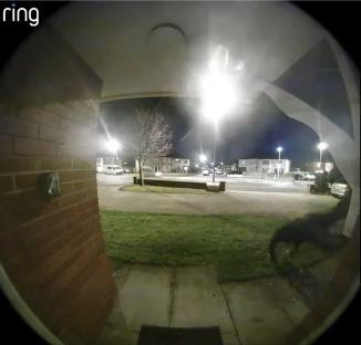 Ring doorbell camera footage of a nighttime break-in.