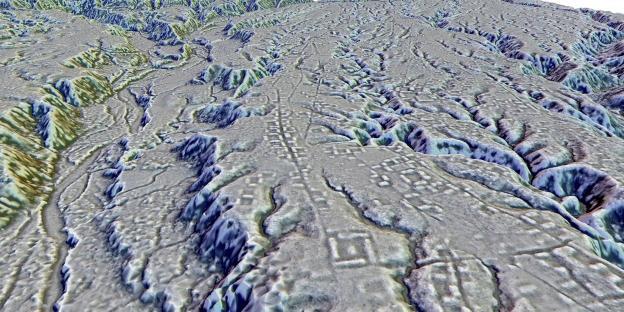 LIDAR image of rectangular platforms in the Amazon rainforest.