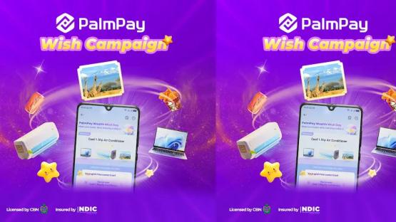 PalmPay launches Wealth Wish campaign to reward customers