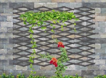Garden trellis with climbing plants and flowers.