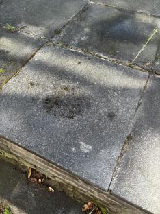 Dirty paving stones with weeds growing in the cracks.
