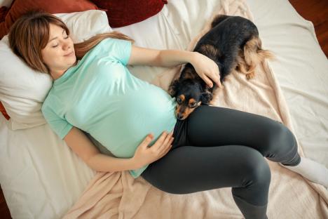 We found the perfect baby name for our son but our pet dog has ruined it before he’s even arrived