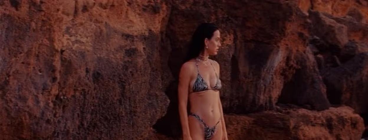 Katy Perry in a zebra-print bikini standing by rocks.