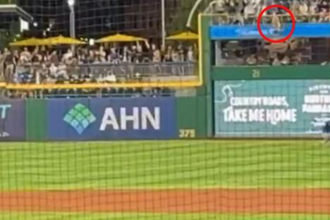 Baseball fan plunges more than 20 feet from stands at MLB game as players seen praying