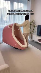 Person surprised by the size of a pink cat bed they ordered online.