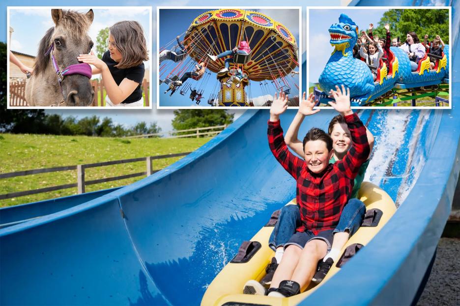 Collage of children enjoying amusement park rides and petting a pony.