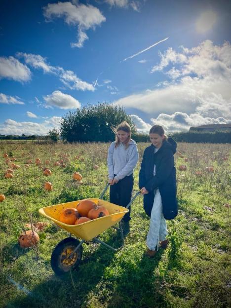 Two girls pushing a yellow wheelbarrow full of pumpkins through a pumpkin patch.