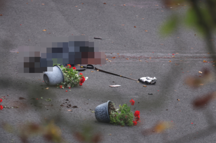 A person lying face down on the ground next to overturned potted plants.
