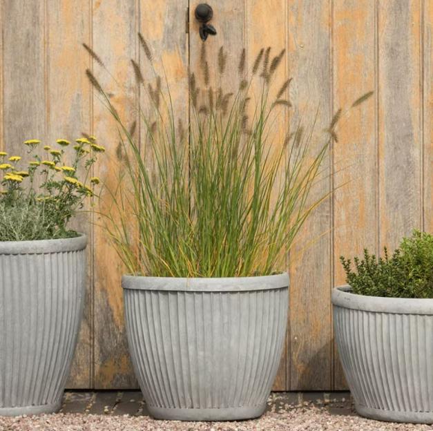 Gardening-competition-1017388544-b4d35b