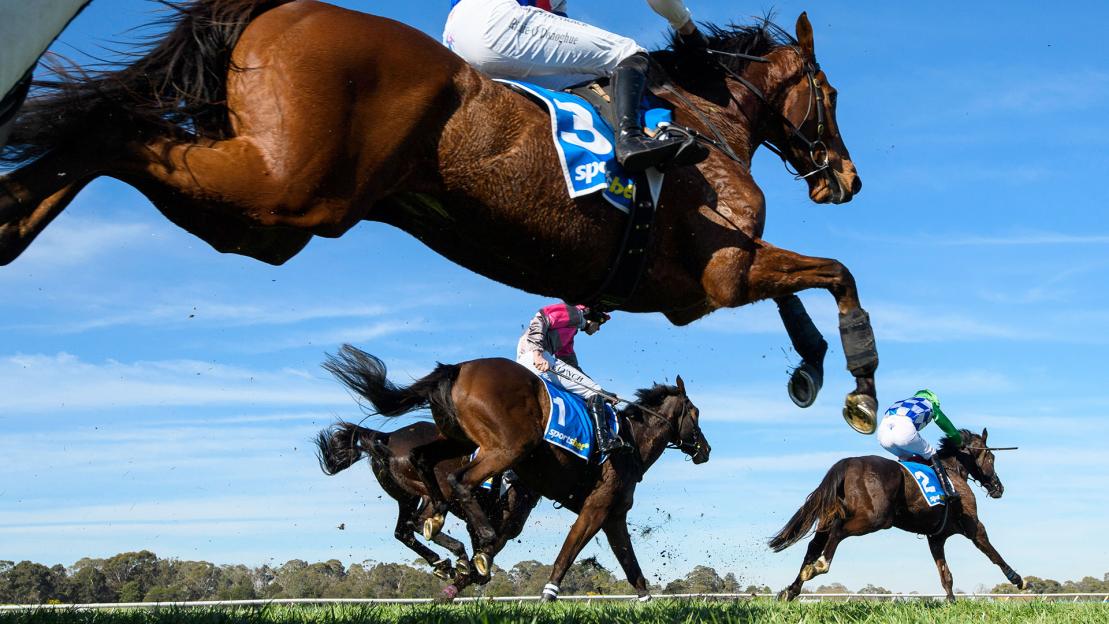 British racing to go on strike for first time in its history in protest at betting tax rise with ALL meetings cancelled