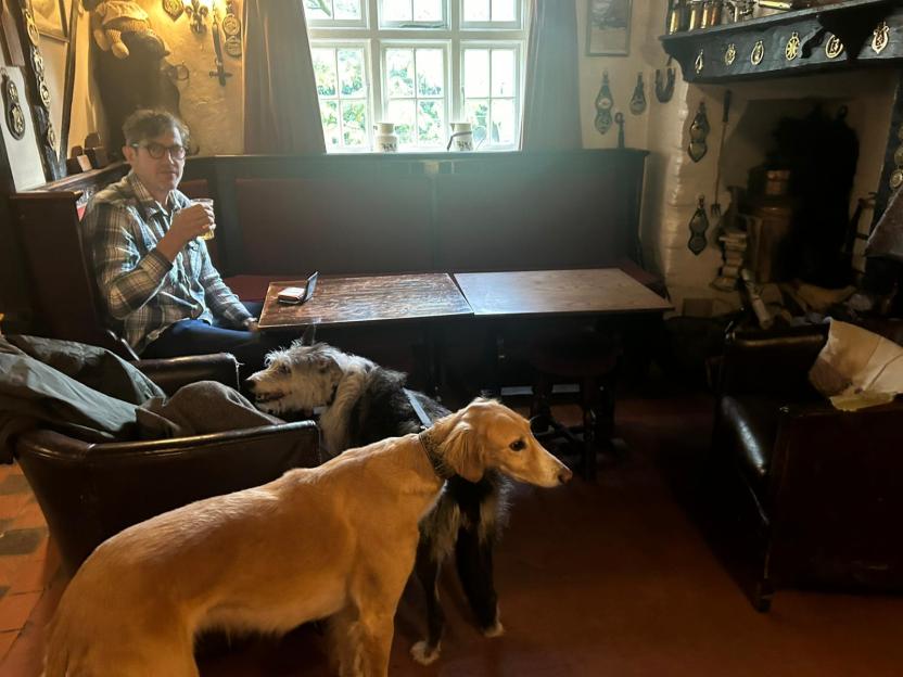 A man in glasses sips a drink in a pub next to two dogs.