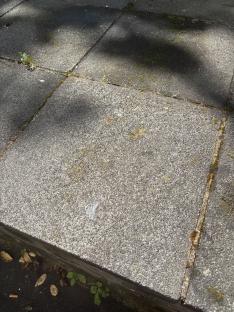 A stained paving stone.