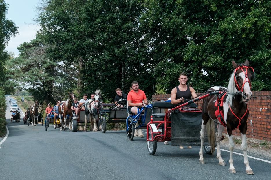 A line of horse-drawn carriages on a road.
