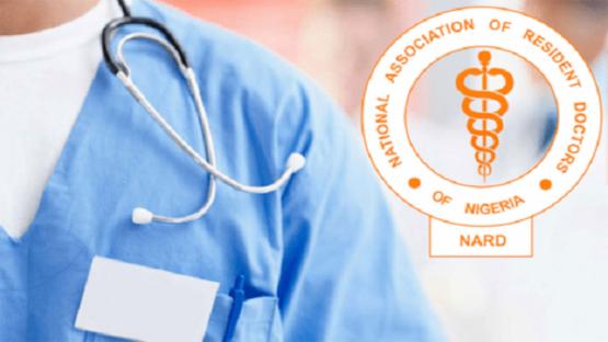 NARD condemns senseless killings in Benue, mourns young pharmacist