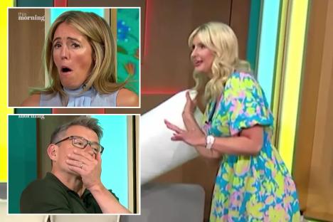 The £3 buy that can make your pillows MUCH cleaner after This Morning viewers left horrified by disgusting cleaning fact