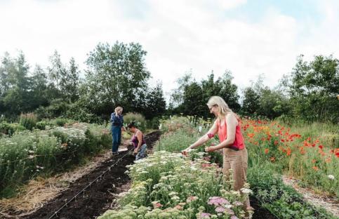 Three women tending to a flower garden.