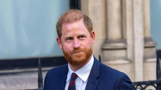 Harry slammed for ‘complete nonsense’ by ex-Scotland Yard boss over claim police protection was axed to keep him in UK