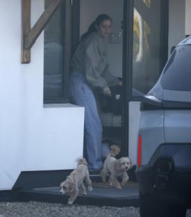 Dan Osbourne and Jacqueline Jossa leaving a house with two dogs.