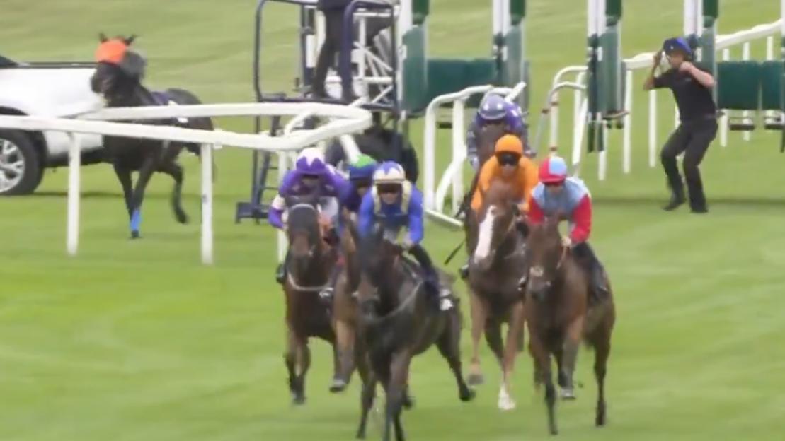 Absolute carnage at Windsor as blindfolded horse smashes through barriers before race called off and jockeys banned