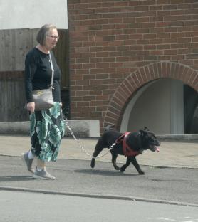 Woman walking black dog on a leash.