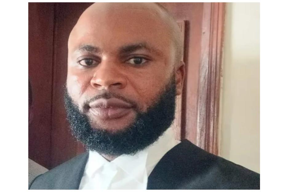 ‘Address this illiterate’s rascality’ – Idam blames Tinubu for Okpebholo’s threat on Obi