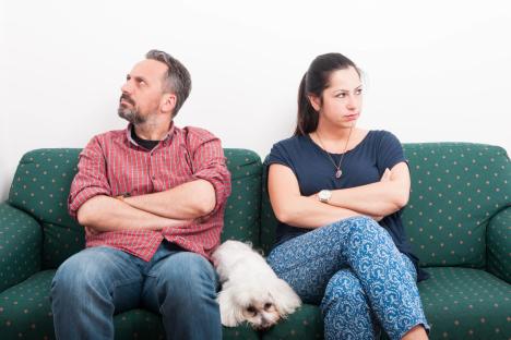 7 shocking ways your dog is destroying your relationship – and the ‘sweet’ move they make that’s ruining your sex life