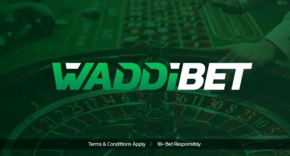 Livescore bet login surges in popularity with Waddibet’s launch