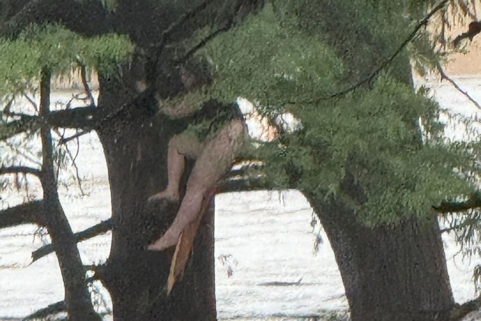 Woman, 22, swept 20 MILES by Texas floods & left clinging to tree in rescue… but 25 children still missing from camp