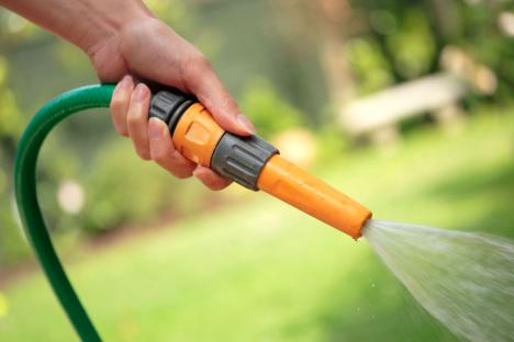 The 3 essential tasks gardeners should be doing this month to avoid £1000 fine during a hosepipe ban