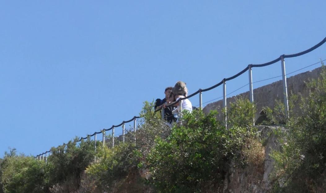 A monkey on a person's head on a cliff walk.