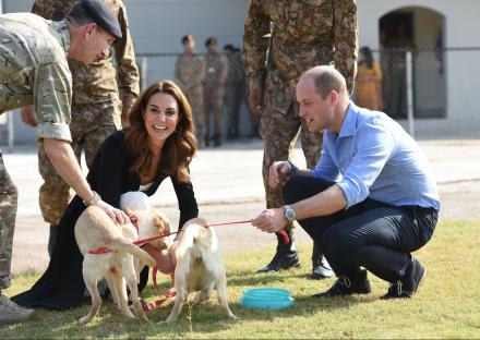 Prince William and Kate Middleton petting dogs at the Army Canine Centre in Islamabad.