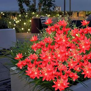 Solar-powered red flower lights in a garden setting.