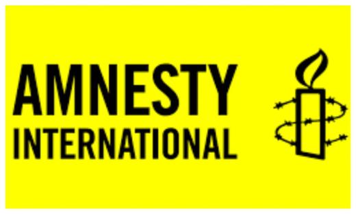 Amnesty International demands probe into police assaults on protesters, journalists