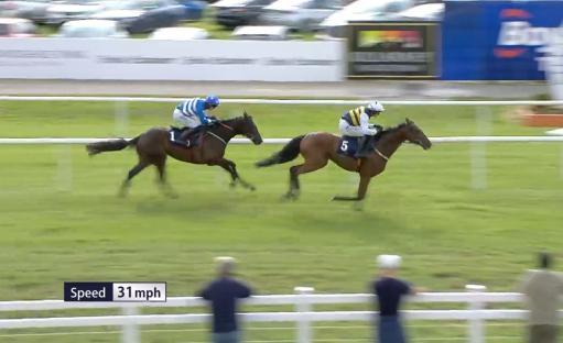 Two horses racing at 31 mph.