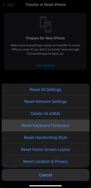 iPhone transfer and reset options.