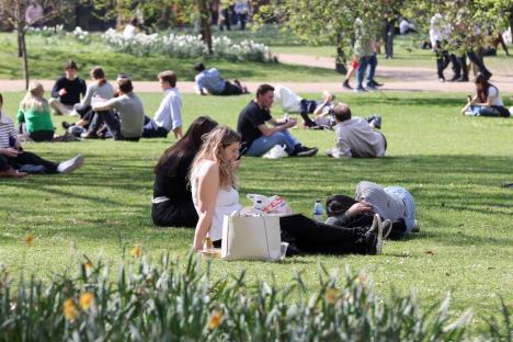 People relaxing on the grass in a park on a sunny day.