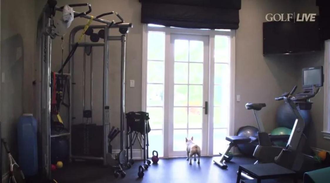 Rory McIlroy's home gym with workout equipment and a French Bulldog looking out glass doors.