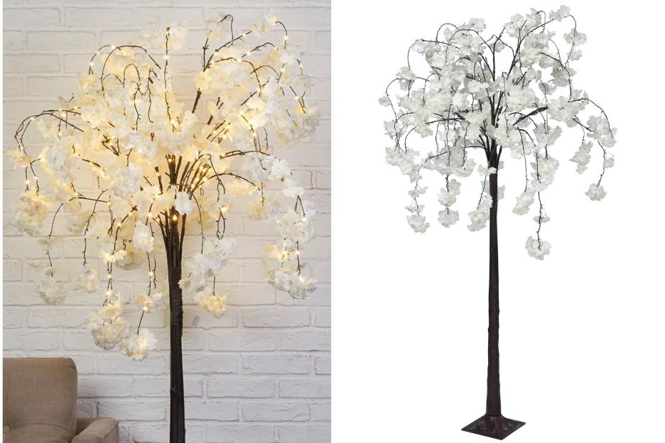 Olive trees are out – the new decorative plant everyone’s putting in their homes, it’s elegant & illuminates dark corner