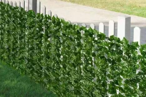 Shoppers are racing to snap up Shein’s £3.50 privacy screen which keeps out pesky neighbours & gets ‘compliments’