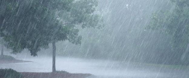 Jigawa witnesses first rain of 2025 wet season
