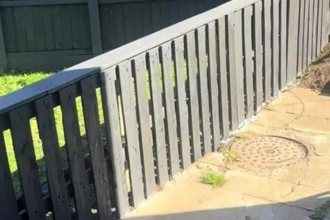 I saved thousands making a DIY fence using FREE pallets – it keeps the dogs off the grass & people say it ‘looks mint’